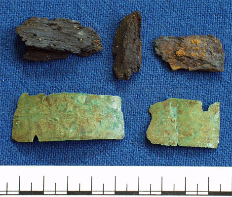 Sheath fragments (AN1944.5)