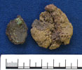 Burial 26 - Click to see more images