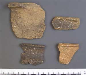 Potsherds found at Abingdon Causewayed Camp
