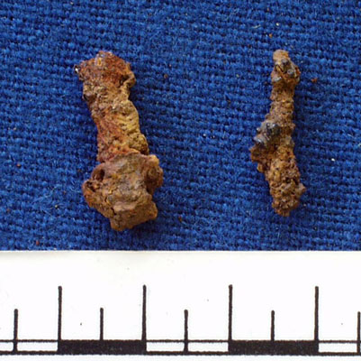 Iron fragments (AN1934.203)