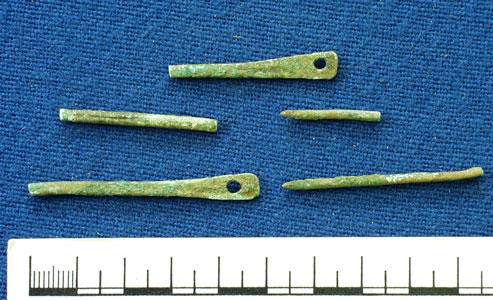 Pins (AN1934.212)