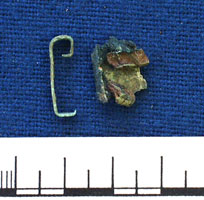 Clip  (AN1935.52d)