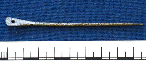 Pin