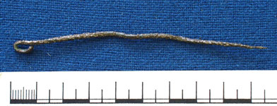 Pin