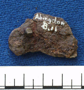 Shield grip