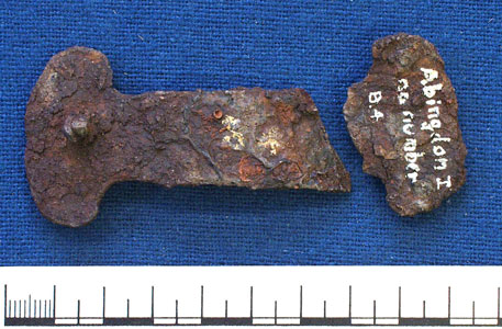 Shield grip