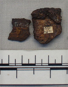 Iron fragments (AN1886.1424d)