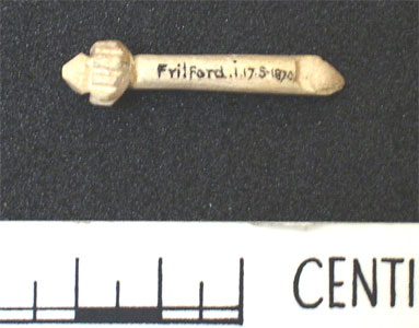 Bone pin (AN1886.1432)