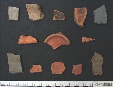 Pottery sherds (AN1912.56)