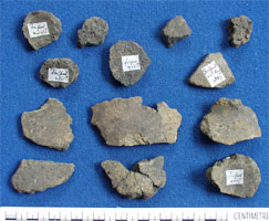 Pottery sherds (AN1935.15)