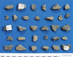 Pottery sherds (AN1935.15)