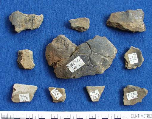 Pottery sherds (AN1969.16)