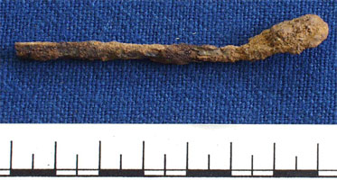 Pin (AN1971.469)