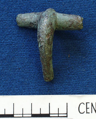 Fibula (AN1923.802)