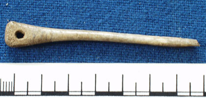 Bone needle or pin (AN1923.859)
