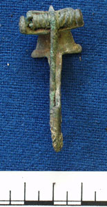 Fibula (AN1926.59)