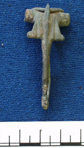 Fibula (AN1926.59)