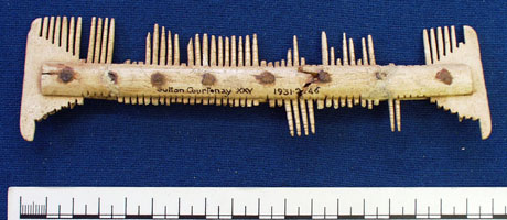 Comb (AN1931.246)