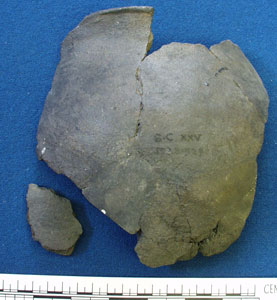 Fragment of pot (AN1933.529)