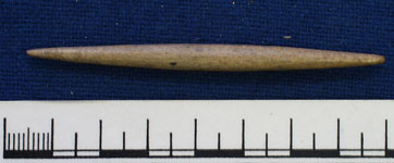 Bone pin (AN1948.26)