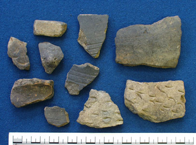 Sherds of a small pot (AN1966.1898)