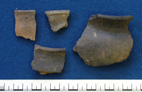 Rim sherds (AN1966.1899)