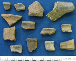 Pottery sherds (AN1966.1906)