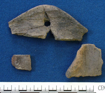 Pottery sherds (AN1966.1917)