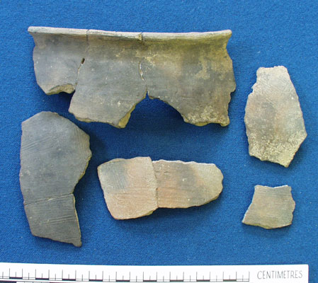 Pottery sherds (AN1966.1917)