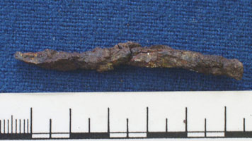 Iron nail (AN1968.1451)