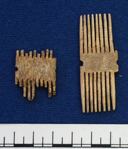 Bone comb fragment (AN1968.1466)