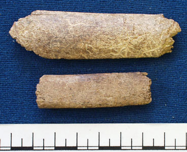 Worked animal bone (AN1968.1472)