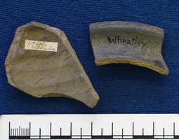 Pottery sherds (AN1883.28)