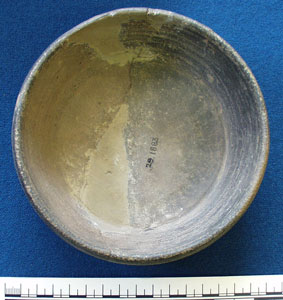 Top of bowl (AN1883.29)