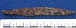 Burial 45 - Click to see more images