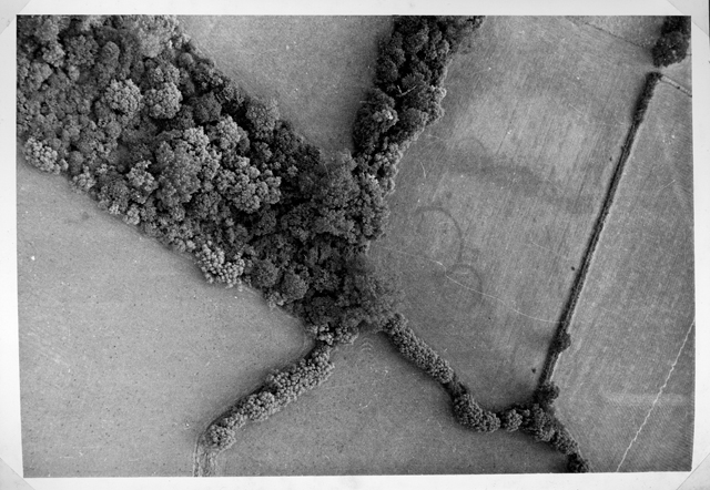 Go to Catalogue entry for R181