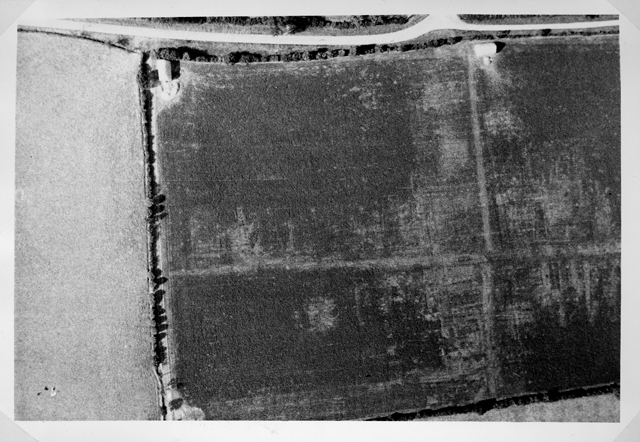 Go to Catalogue entry for R214