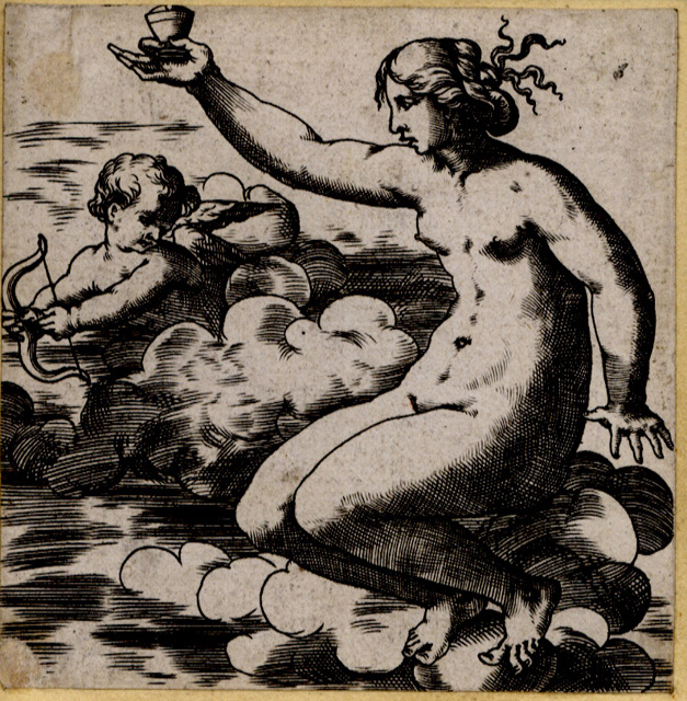 Go to Catalogue entry for WA1863_5447