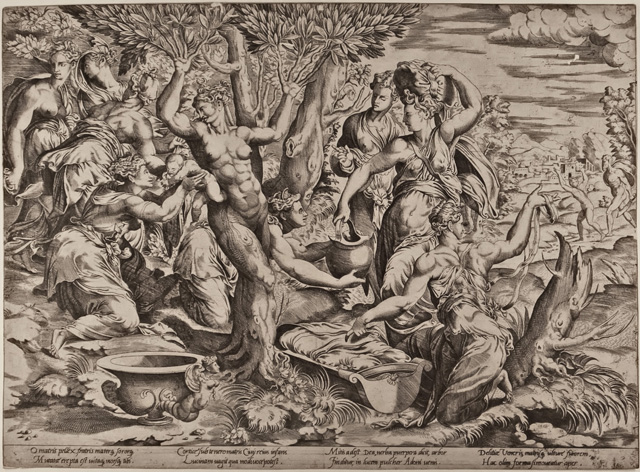 Go to Catalogue entry for WA1863_5783