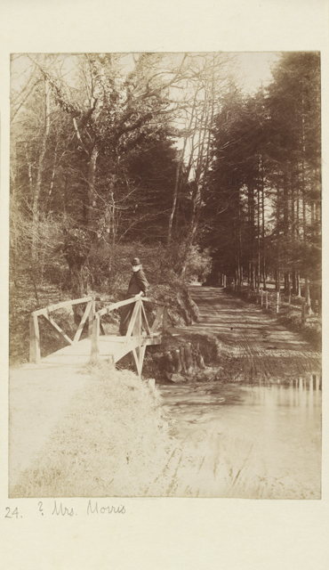 Go to Catalogue entry for WA_1941_171_24-a